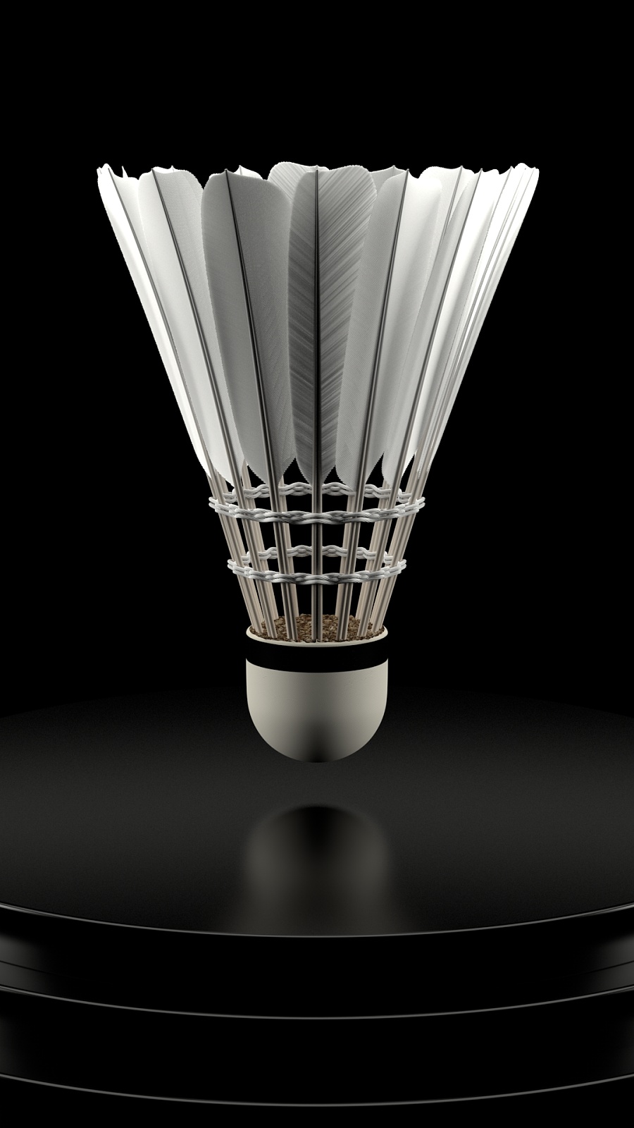 节奏的绝佳 节奏的绝佳